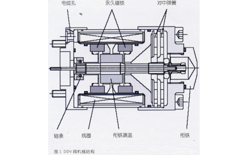 DDV爱体育（中国）介绍及其应用